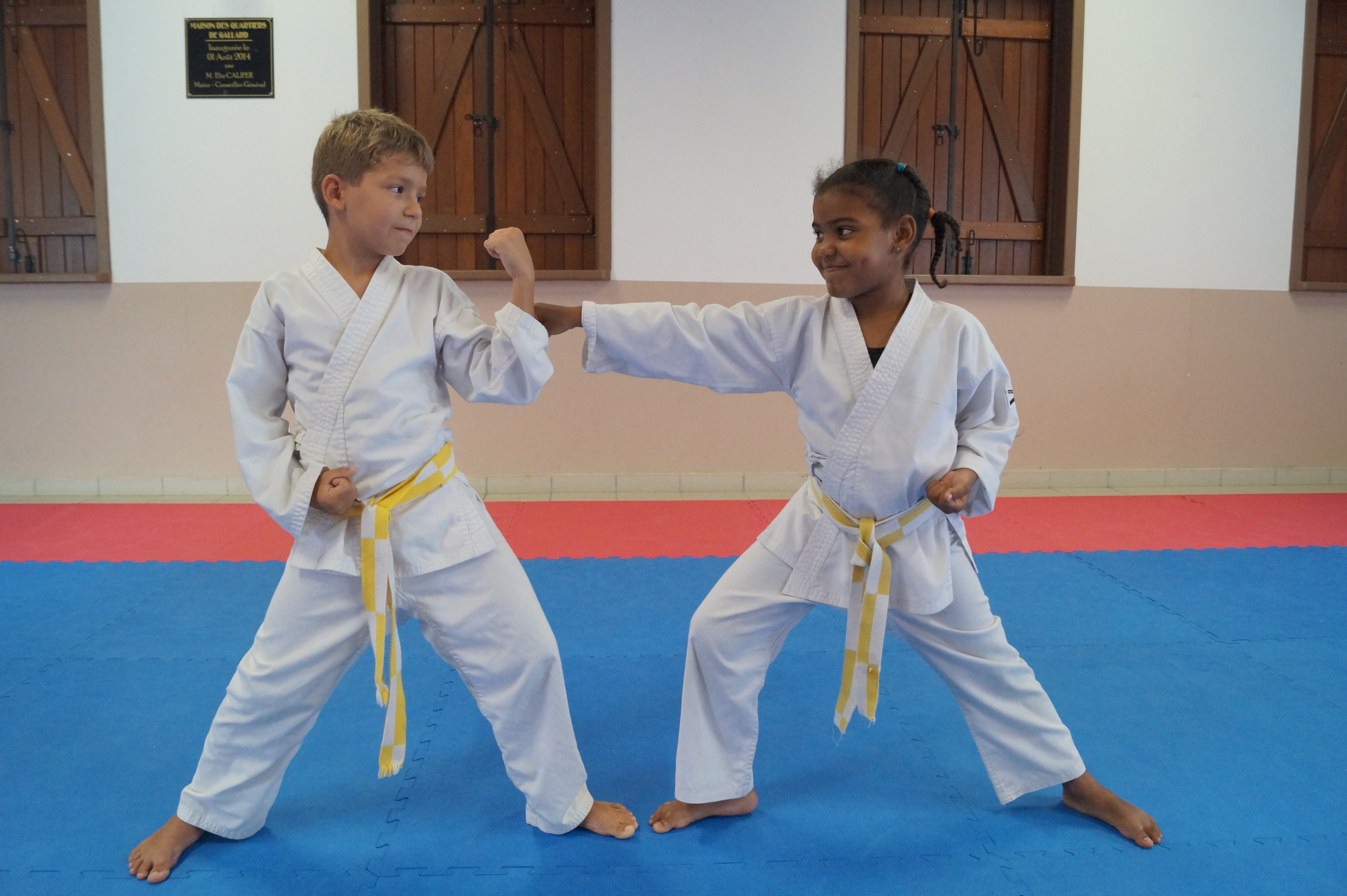 //senchin-karate.fr/wp-content/uploads/2018/02/karaté-enfants.jpg